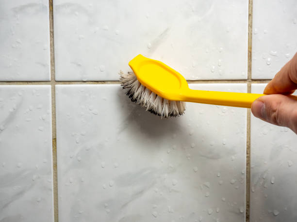 Best Attic Mold Removal  in Amsterdam, NY
