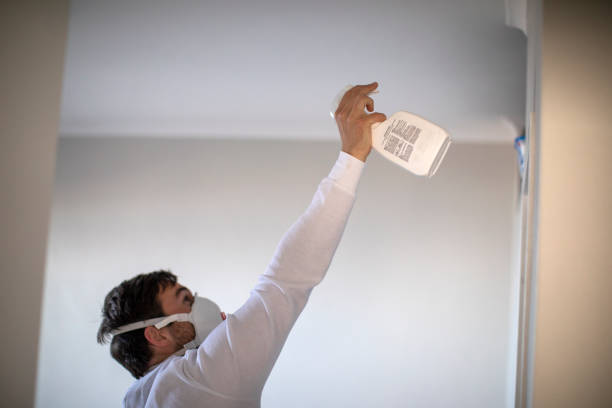 Certified Mold Removal in Amsterdam, NY