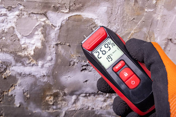 Best Toxic Mold Removal  in Amsterdam, NY